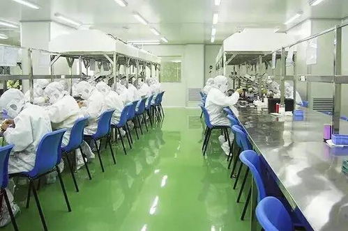 科學搭配，自然養顏 保健食品助力女性青春常駐
