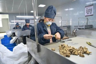 中藥材致富寶 挖掘傳統(tǒng)藥業(yè)的巨大潛力與保健食品銷售商機